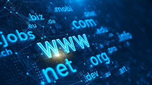 cPanel Domain Yönlendirme